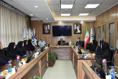 دیدار مدیرعامل با بانوان موسسه به مناسبت ولادت حضرت زهرا (سلام‌الله‌علیها) و روز زن